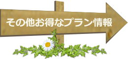 その他お得なプラン情報