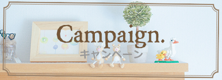 Campaign