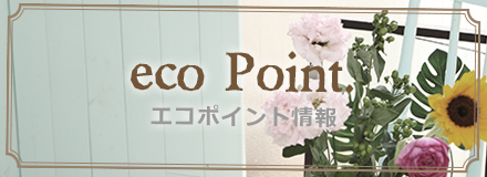 eco Point